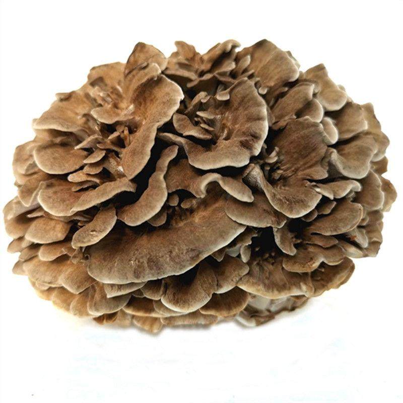 庆元灰树花干货无泥沙灰树菇舞茸茶菊花菌500g栗蘑新鲜灰树花包邮,淘宝优惠券,粉丝福利购,淘宝优惠卷