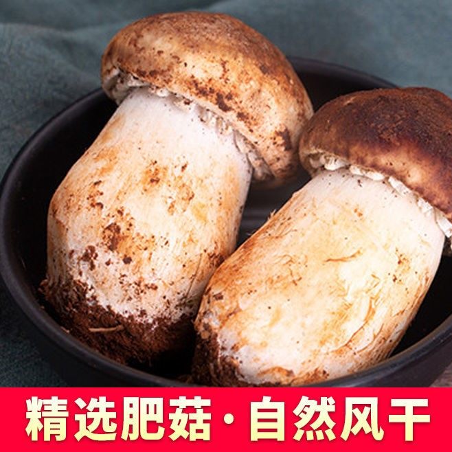 本色姬松茸巴西菇新货无硫干货云南土特产食用菌蘑菇煲汤香菇干货,淘宝优惠券,粉丝福利购,淘宝优惠卷