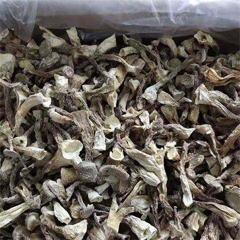 鹿茸菇干货500g包邮鹿茸菌非净重鹿茸菇云南特产脆脆菇煲汤材香菇,淘宝优惠券,粉丝福利购,淘宝优惠卷