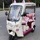 Complete collection of tricycle decorative accessories
