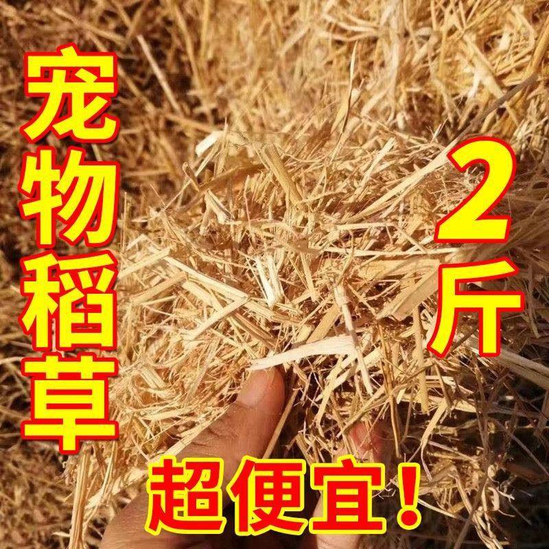 稻草干草垫料兔子过冬草狗窝鸡宠物垫窝天然干稻草秸秆禾杆草保暖,淘宝优惠券,粉丝福利购,淘宝优惠卷