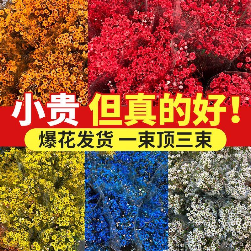 澳洲腊梅鲜花鲜切花束客厅水养干花插花云南基地直发摆件年宵真花,淘宝优惠券,粉丝福利购,淘宝优惠卷