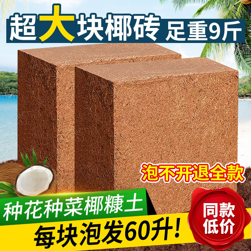 椰砖大块营养土种菜专用椰糠养花通用型土壤种植土脱盐粗耶砖进口,淘宝优惠券,粉丝福利购,淘宝优惠卷
