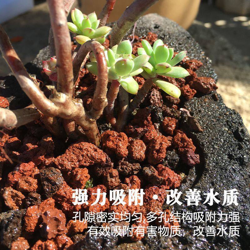 云南天然火山石颗粒养花火山石鱼缸底砂垫底酸性兰花多肉造景腾冲,淘宝优惠券,粉丝福利购,淘宝优惠卷