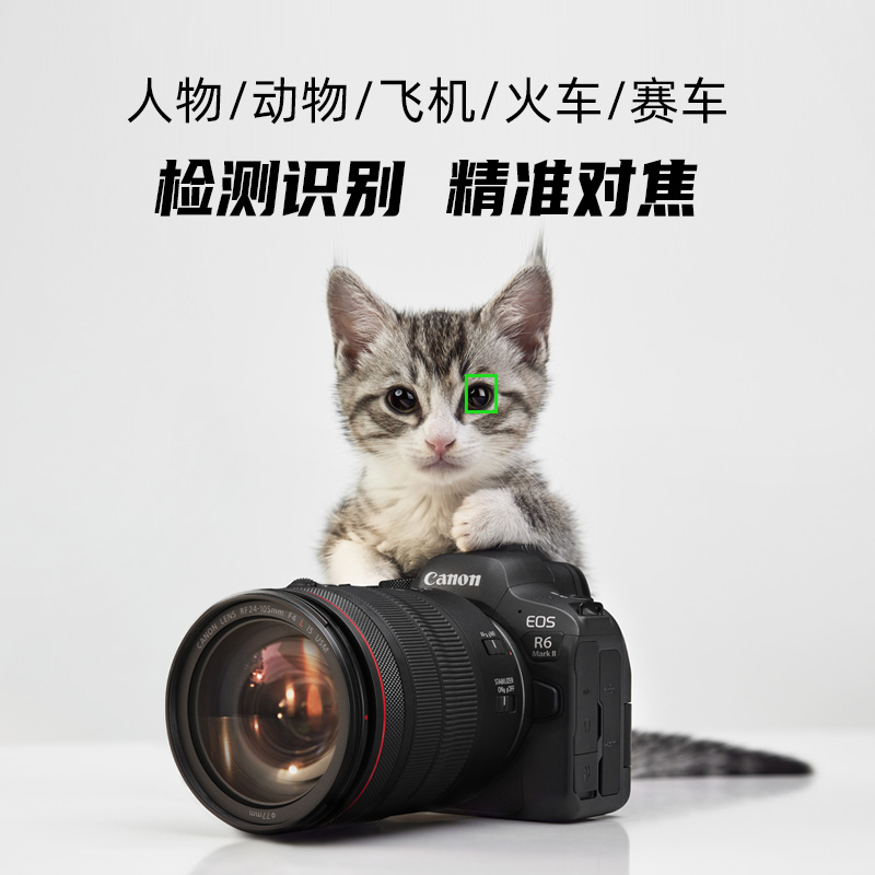 [旗舰店]Canon/佳能 EOS R6 Mark II 机身/套机 全画幅专业微单 - 图3