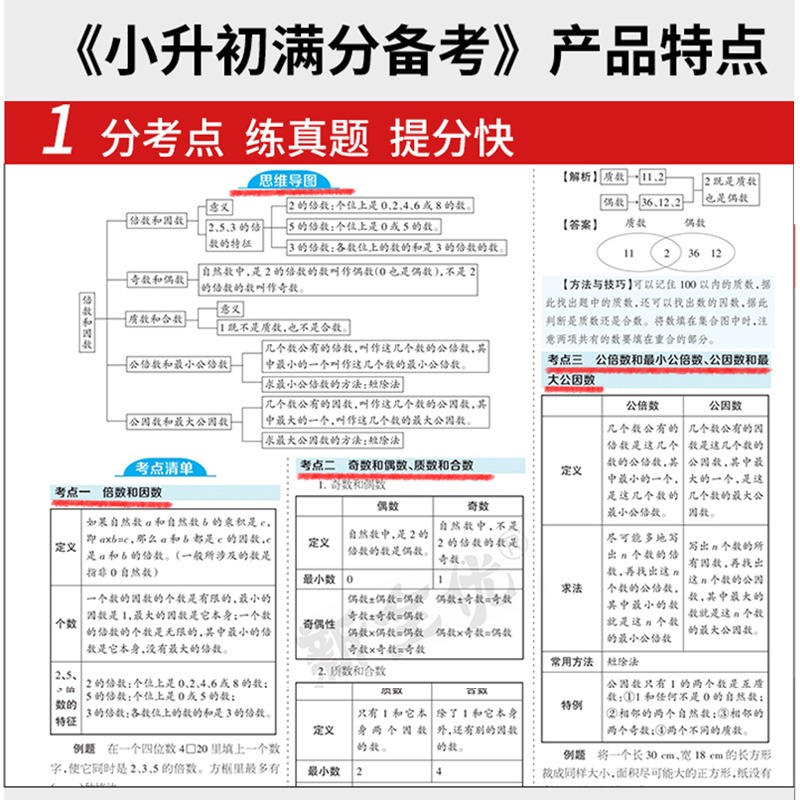 2024新小升初满分备考少年素质教育报全国通用新全优小学升初中语文数学英语20期合刊专项复习考点高频考题测试卷期末系统总复习下 - 图3