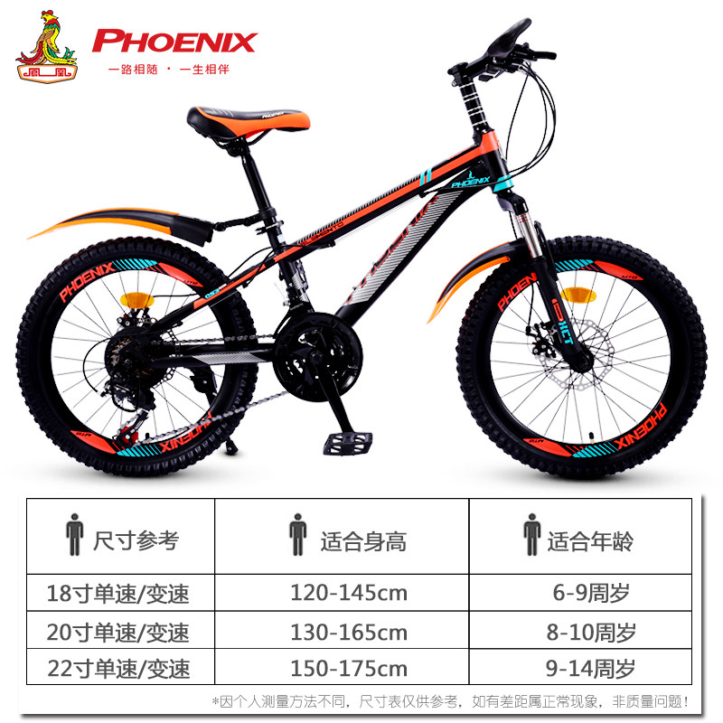凤凰6-7-8-9-10岁男孩20寸12自行车 凤凰七彩马自行车