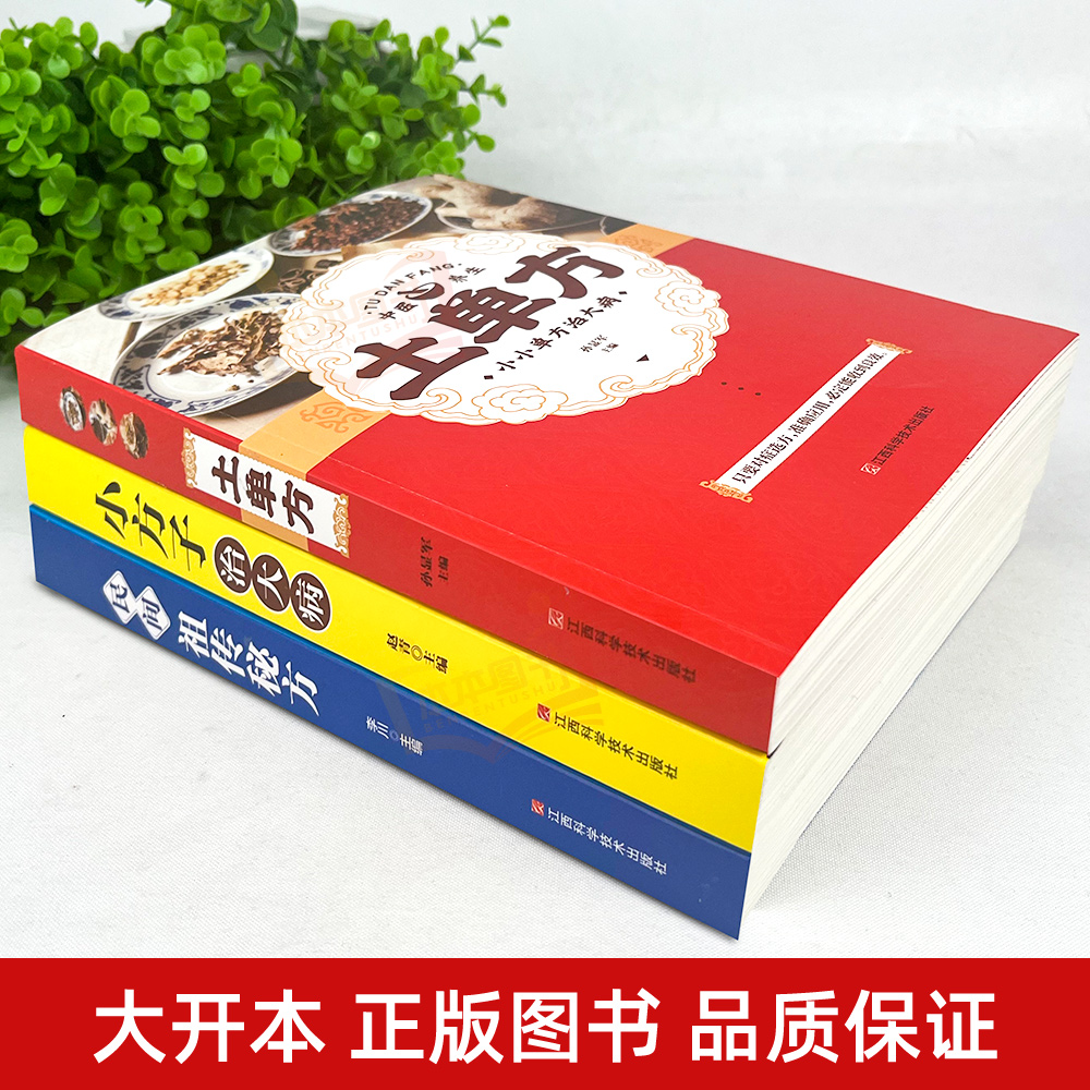 【全3册】土单方+小方子治大病+民间祖传秘方 正版民间实用张至顺道长土单方草药书三册 中国医书大全老偏方食补中药方剂中医书籍 - 图0