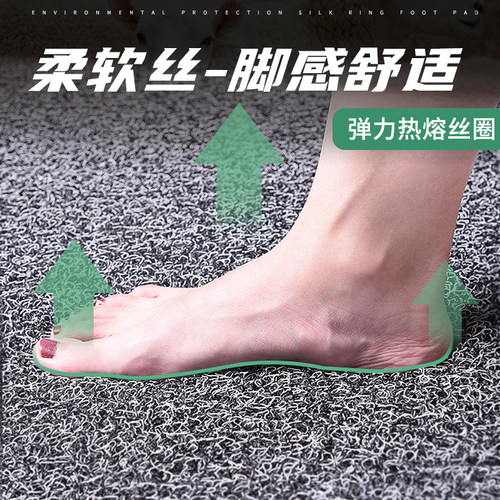 f3比亚迪e5脚垫25款宋pro丝圈ev专用max秦l唐dmi海豚plus汽车2025 - 图2
