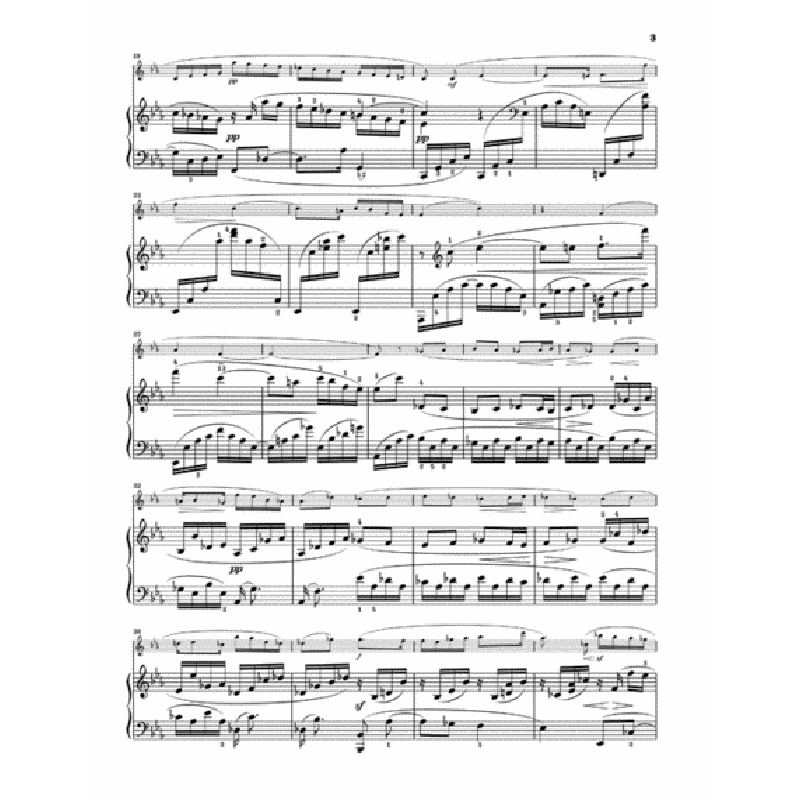 亨乐原版 维多尔 长笛组曲op34 带指法附钢琴伴奏 Widor Suite op.34 for Flute and Piano HN1218 - 图2