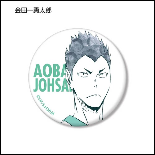 bilibili哔哩哔哩新品排球少年 Ani-Art 盲抽徽章 B - 图1