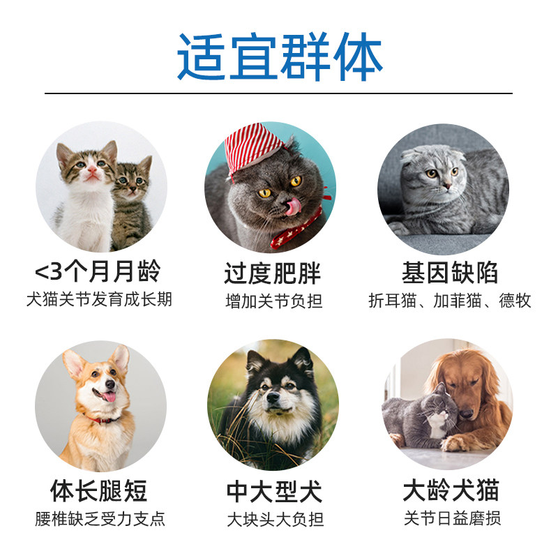 jarrow软骨素msm氨基120粒葡萄糖 CEI营养海外氨基葡萄糖