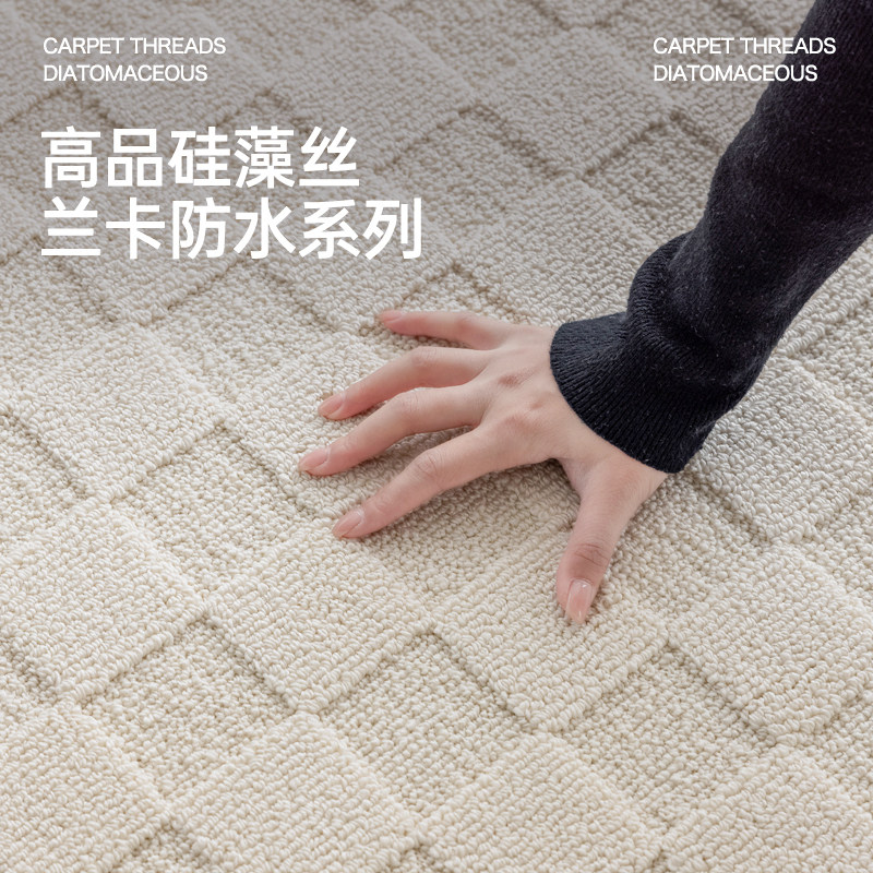 奶油风客厅防水污地毯新款法式免洗可擦卧室家用沙发轻奢高级地垫