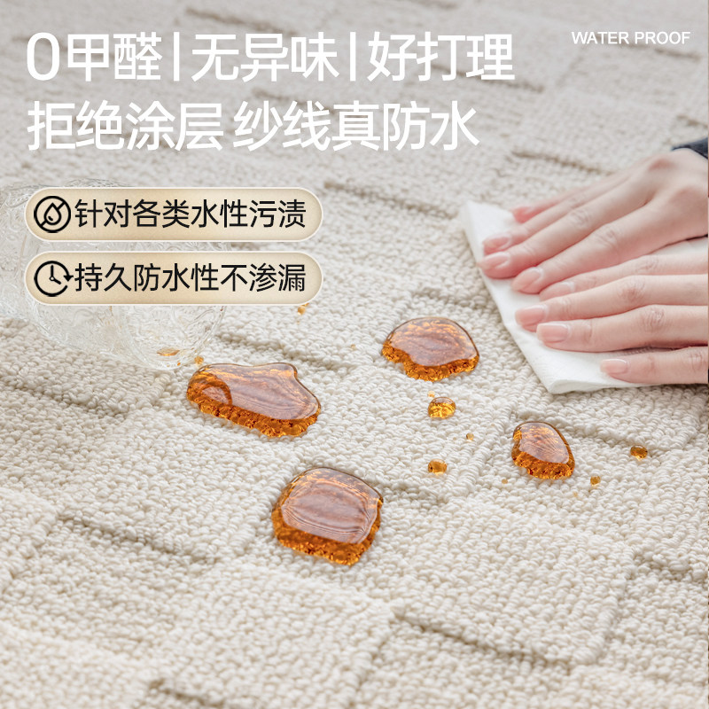 奶油风客厅防水污地毯新款法式免洗可擦卧室家用沙发轻奢高级地垫