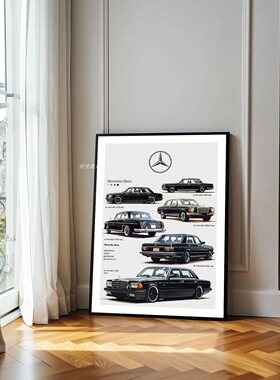 宾士BMW奥迪挂画电表箱