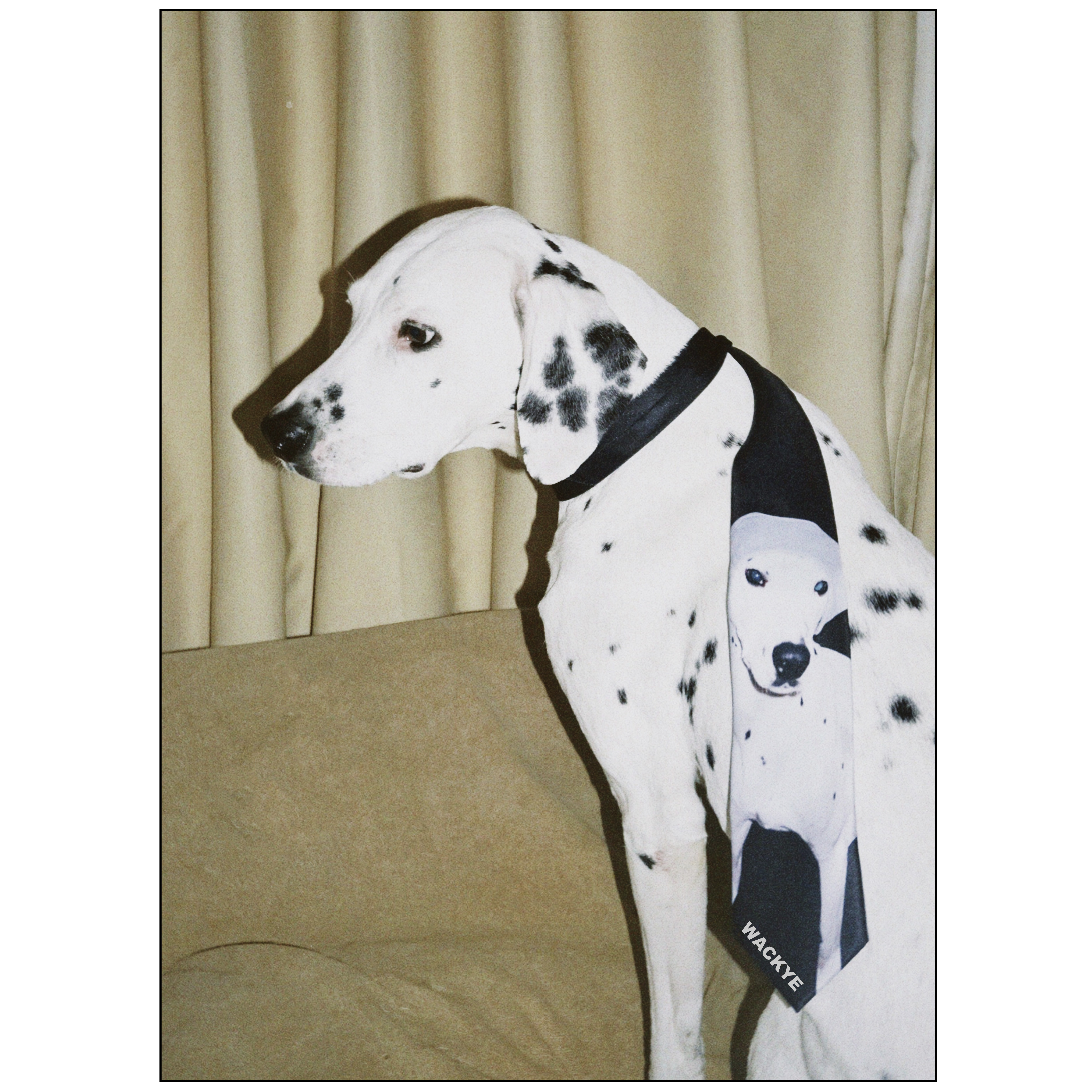 WACKYE 官方正品 焦迈奇同款 原创设计斑点狗印花手打学院风领带 - 图2