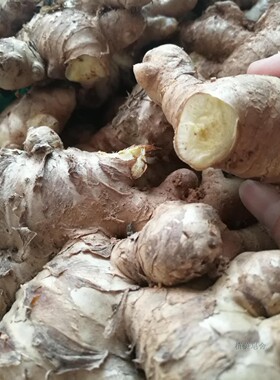 生姜皂洗发洗澡天然无硅油脂益性