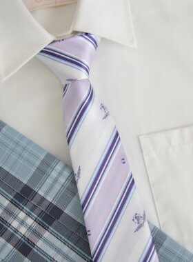 【潘特维拉】蓝亚麻酸浆草dk/jk休闲日系学生制服衬衫配饰小物