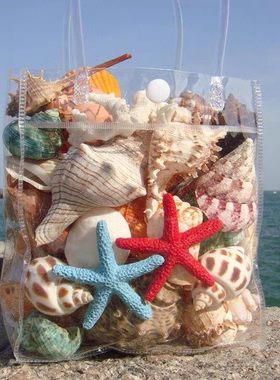 天然海螺贝壳海星珊瑚鱼缸水族装饰橱窗地台居家摆件儿童玩具礼物