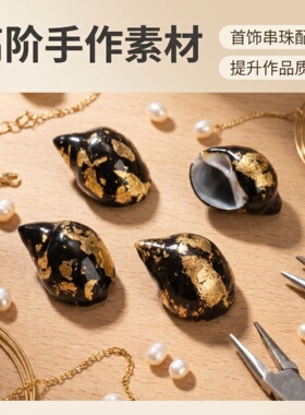 黑底金箔海螺寄居蟹壳替换壳 DIY串珠配件桌 面微观造景手工点缀