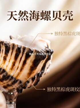 网红海螺玻璃杯 精致海洋贝壳海螺玻璃杯创意鸡尾酒杯女生闺蜜