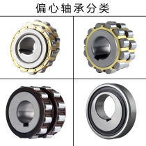 Cycloidal needle wheel reducer integral eccentric bearing RN307 rocking RN205206309312 cylindrical roller