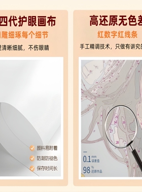精致女孩|diy数字油画丙烯