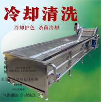 Fully automatic spray type vegetable cleaning machine industrial bubble washing machine large commercial fruit and vegetable cleaning machine