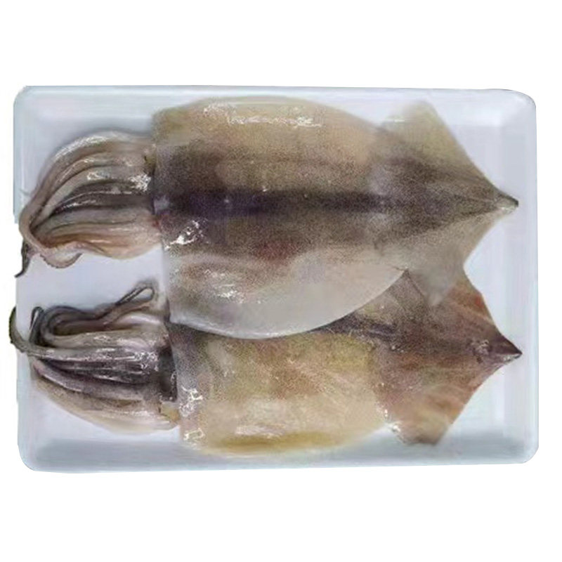 江浙沪皖包邮 天昌 鱿鱼一夜干320g（2条）真鱿鱼日料烧烤铁板,淘宝优惠券,粉丝福利购,淘宝优惠卷