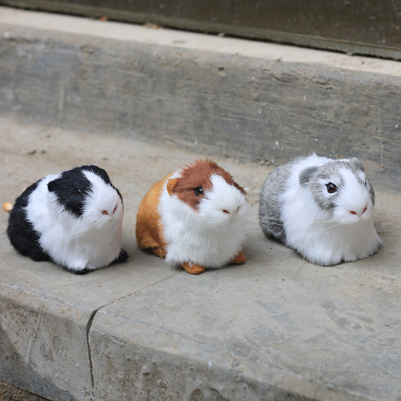 仿真动物豚鼠荷兰鼠荷兰猪海猪天竺鼠模型儿童认知教学道具仓鼠,淘宝优惠券,粉丝福利购,淘宝优惠卷