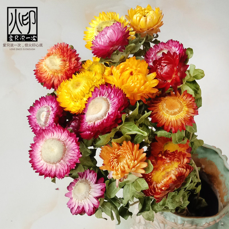 小雏菊干花花束天然真花麦秆菊七彩菊壁挂装饰摆件满天星diy插花 火印love花坊 淘优券