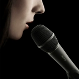 Дания DPA 4018V-B-B01 Певая емко