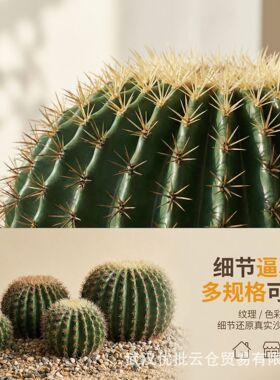 大型仿真仙人球植物造景装饰绿植景观假仙人掌摆件仿生高端沙漠风