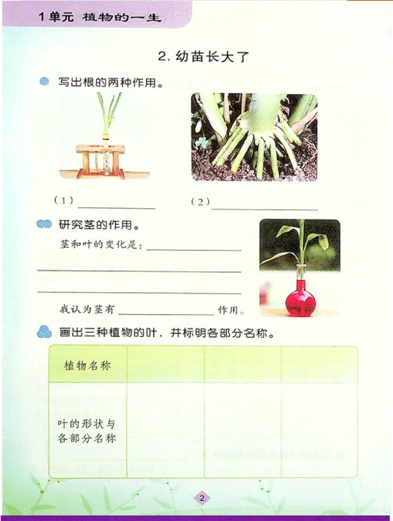 正版包邮2022适用小学三3年级下册学生活动手册苏教版科学学生活动手册3三年级下册课本教材江苏凤凰教育出版社科学活动手册三3下-图3