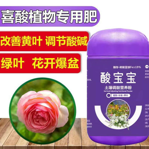 酸宝宝硫酸亚铁花肥茶花栀子花植物养花花卉专用酸性肥料水溶肥 - 图1