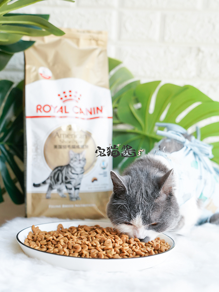 宅猫酱 Royal Canin皇家猫粮 美短成猫粮ASA31 短毛<a href=