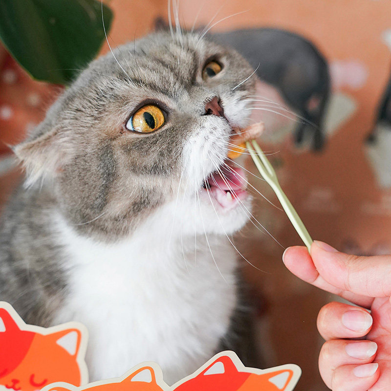 宅猫酱 猫儿游记荷包蛋主食冻干鸡肉磷虾鳕鱼南瓜蛋黄营养拌粮24g,淘宝优惠券,粉丝福利购,淘宝优惠卷