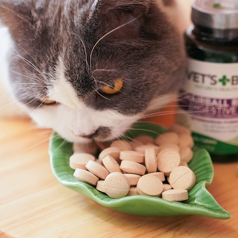 宅猫酱 绿十字猫草片猫草粒天然猫用猫咪化毛球片去毛球片,淘宝优惠券,粉丝福利购,淘宝优惠卷