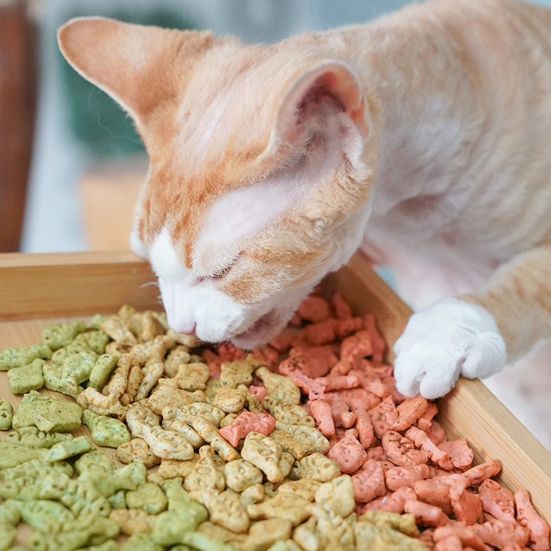 宅猫酱 唤醒猫咪饼干零食去毛球猫薄荷三文鱼磨牙营养奖励零食50g - 图2