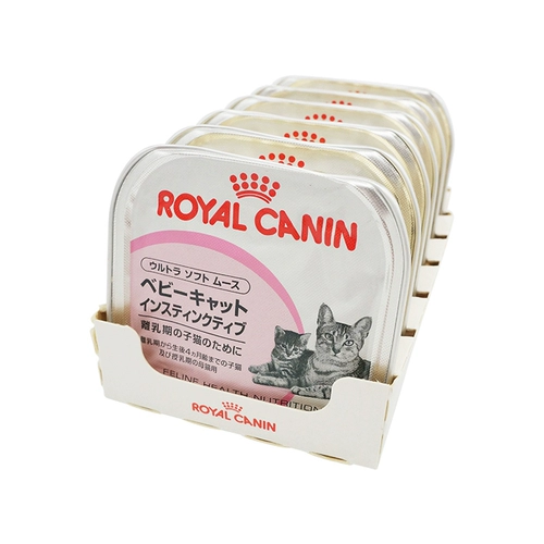 Дом кошачий соус импортирован королевский молочный пирог 1 апрель котенок китча для беременности для беременности кошачья кошачь