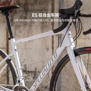 SPECIALIZED闪电 ALLEZ E5 DISC SPORT 碳纤维前叉耐力公路自行车