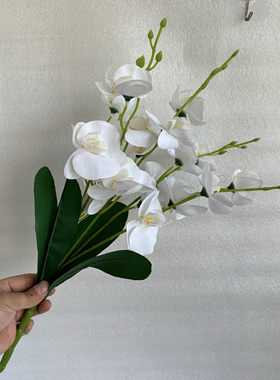 仿真兰花蝴蝶兰假花手感绢花家居餐桌花艺软装样板房酒店拍照道具
