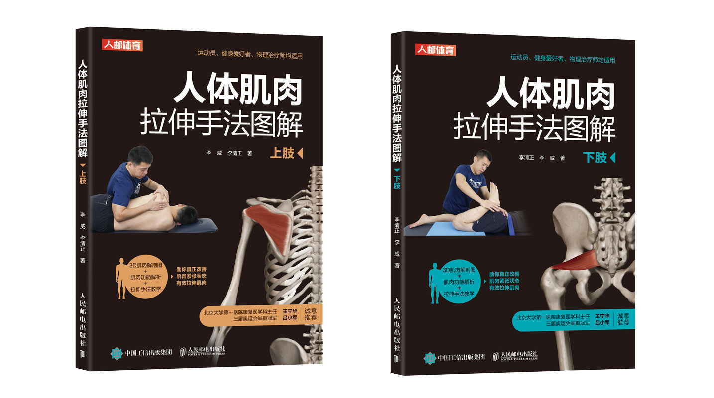 人体肌肉拉伸手法图解上下肢套装2册 运动员健身物理治疗康复师改善肌肉紧张状态有效拉伸肌肉3D解剖图功能解析拉伸手法教学书 - 图1