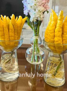 佛手柑花璃水TM202511培器绿皿观赏玻植插花养容器花创意水培摆件