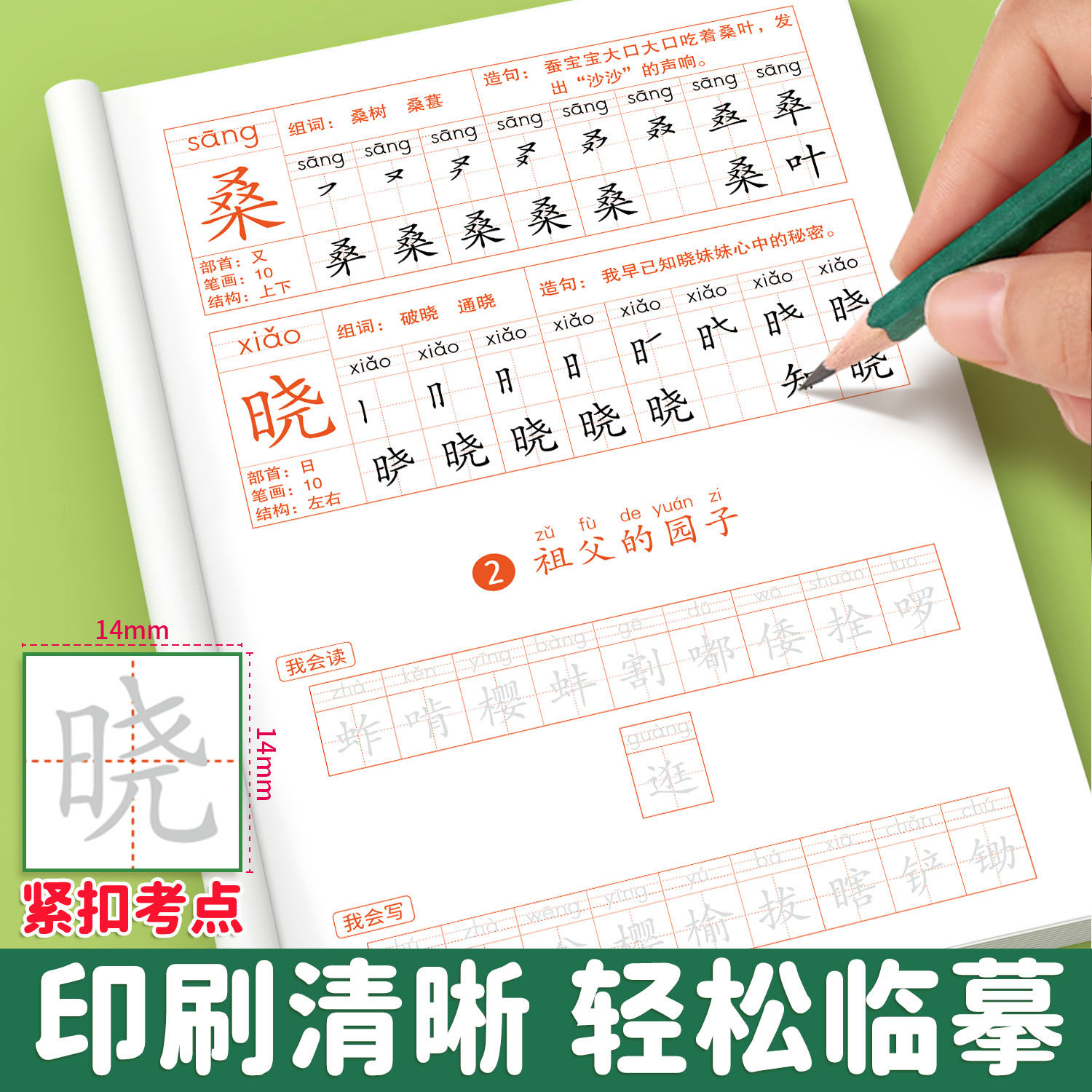 2026版 五年级下册字帖 小学语文上册人教版课本同步练字帖每日一练小学生五下带笔顺笔画四升五寒假 下学期练字本5下描红的练习贴