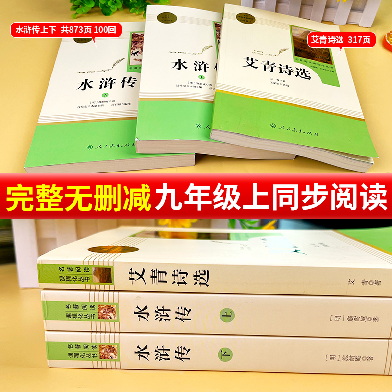 水浒传原著正版完整版艾青诗选人民教育出版社初中九年级上册必读课外阅读书名著9下册人教版初三语文同步青少年儒林外史简爱 - 图3