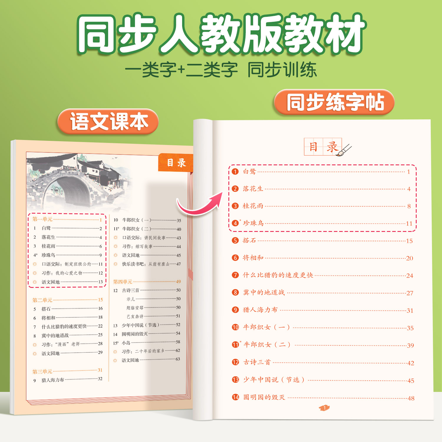2026版 五年级上册字帖 小学语文下册人教版课本同步练字帖每日一练小学生五下带笔顺笔画四升五寒假 上学期练字本5上描红的练习贴