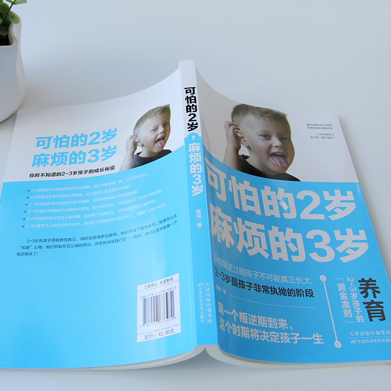 正版可怕的两岁2岁麻烦的3岁三家庭教育孩子的书籍父母读好习惯早教育儿百科男女孩性格养正面管教好妈妈儿童心理学你的2岁孩子-图2