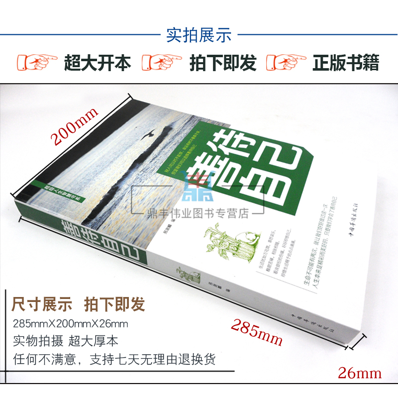 正版包邮 善待自己 340页人生智慧哲理调节心态心灵鸡汤感悟人生提高情商书籍 自我实现励志成长正能量 学会宽容心灵修养书籍畅销 - 图0