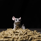 25 марта Соединенные Штаты импортировали Mazuri Mazuri Totoro Nutrition Main Food Feed 2,5 фунта новой упаковки